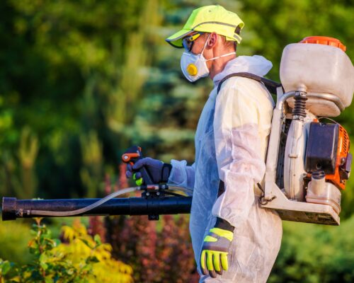 Men with Gasoline Pest Control Spraying Equipment